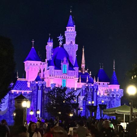 disneyland castle 